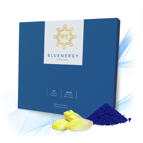BLUENERGY